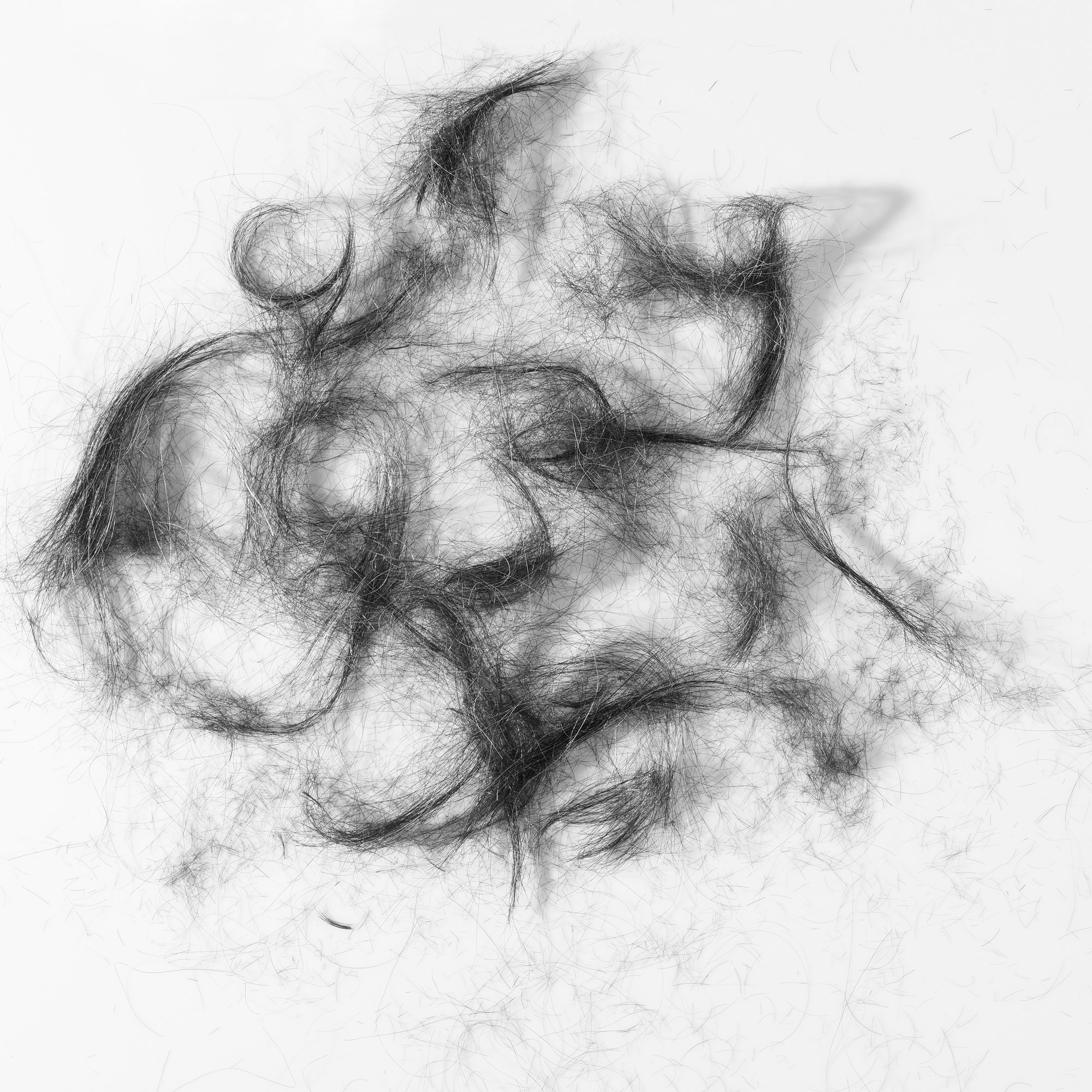 HAirBW-Crop.jpg