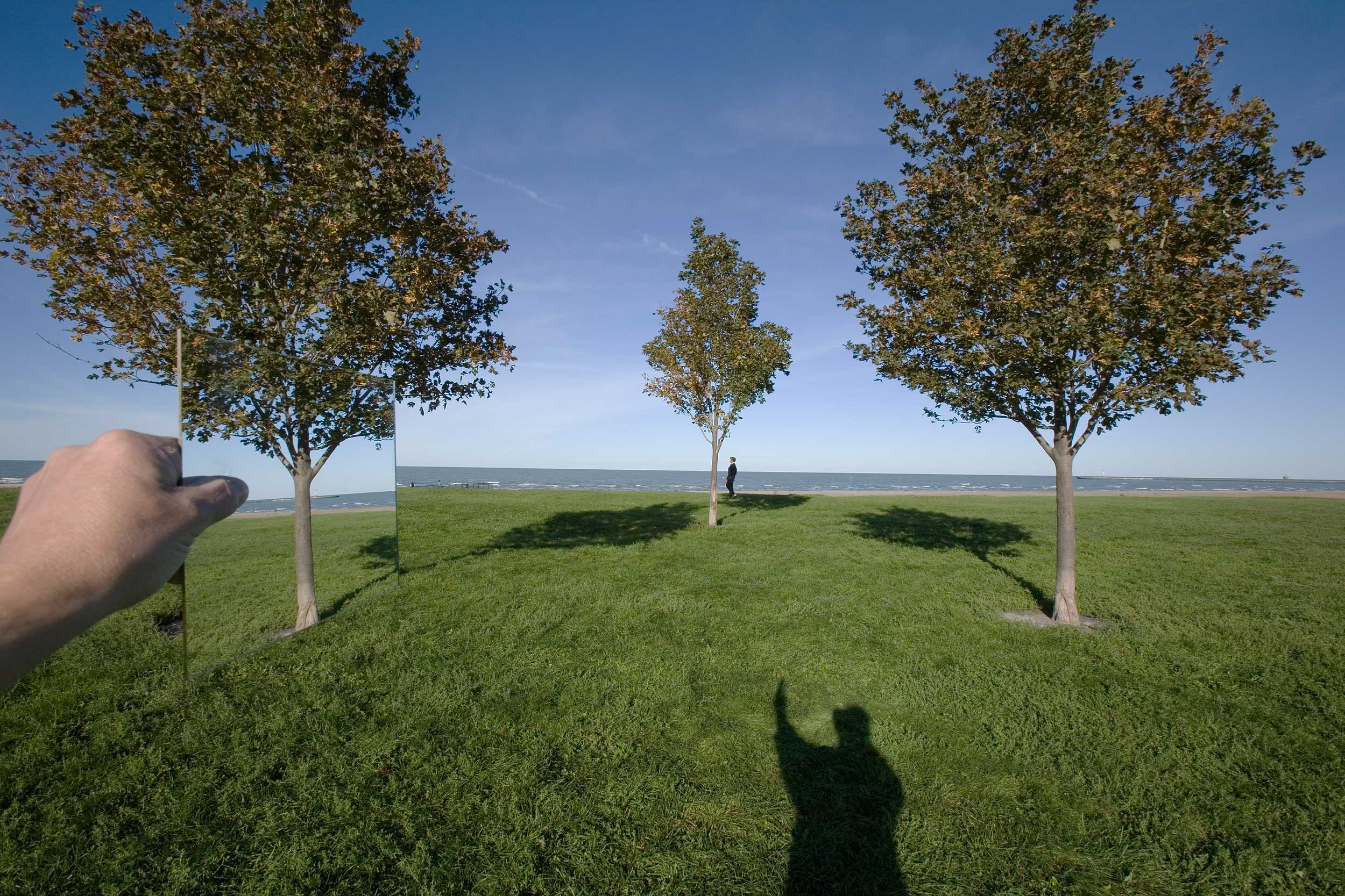 Three-Trees-Softer-copy
