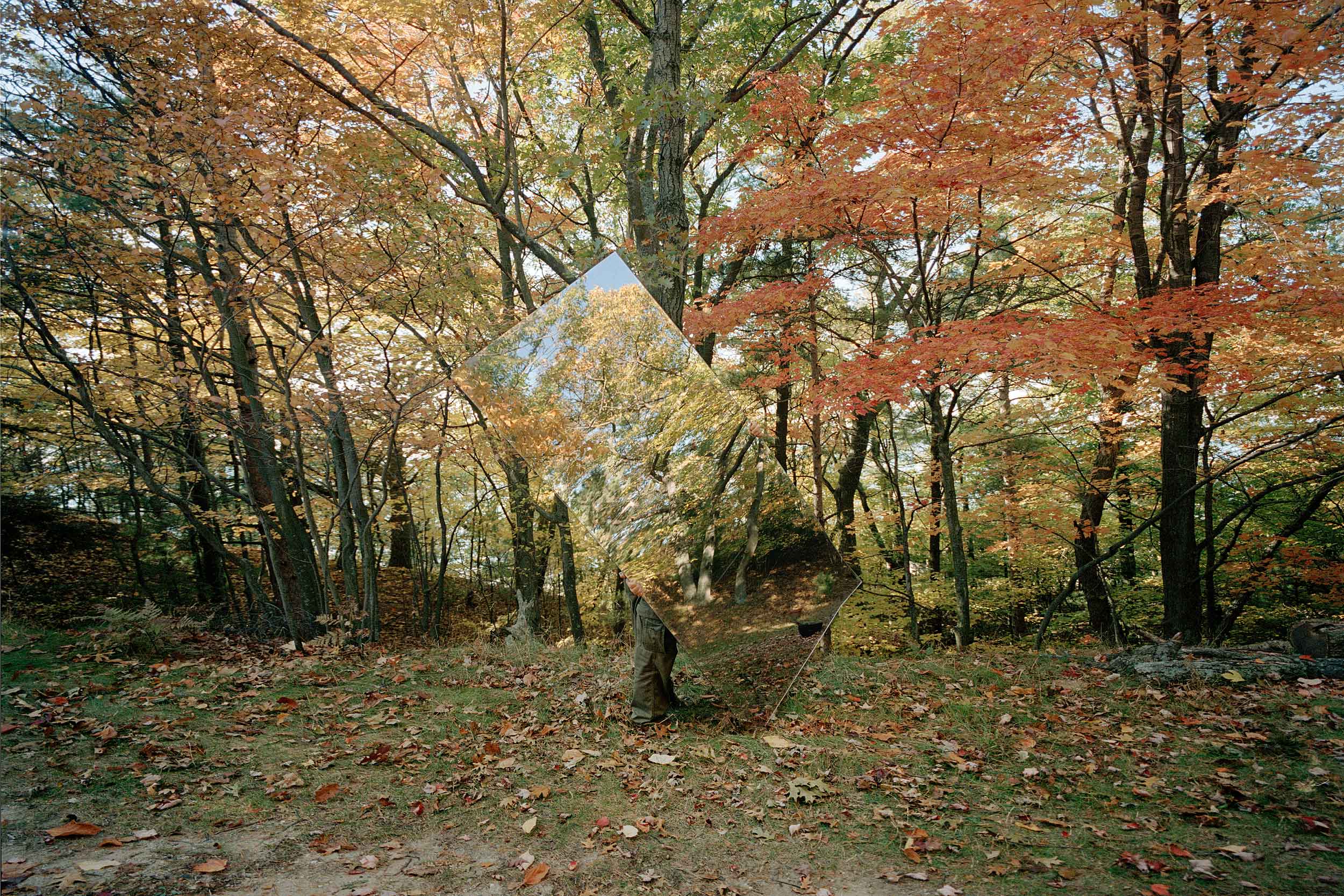 WoodsMirrorHorizontal