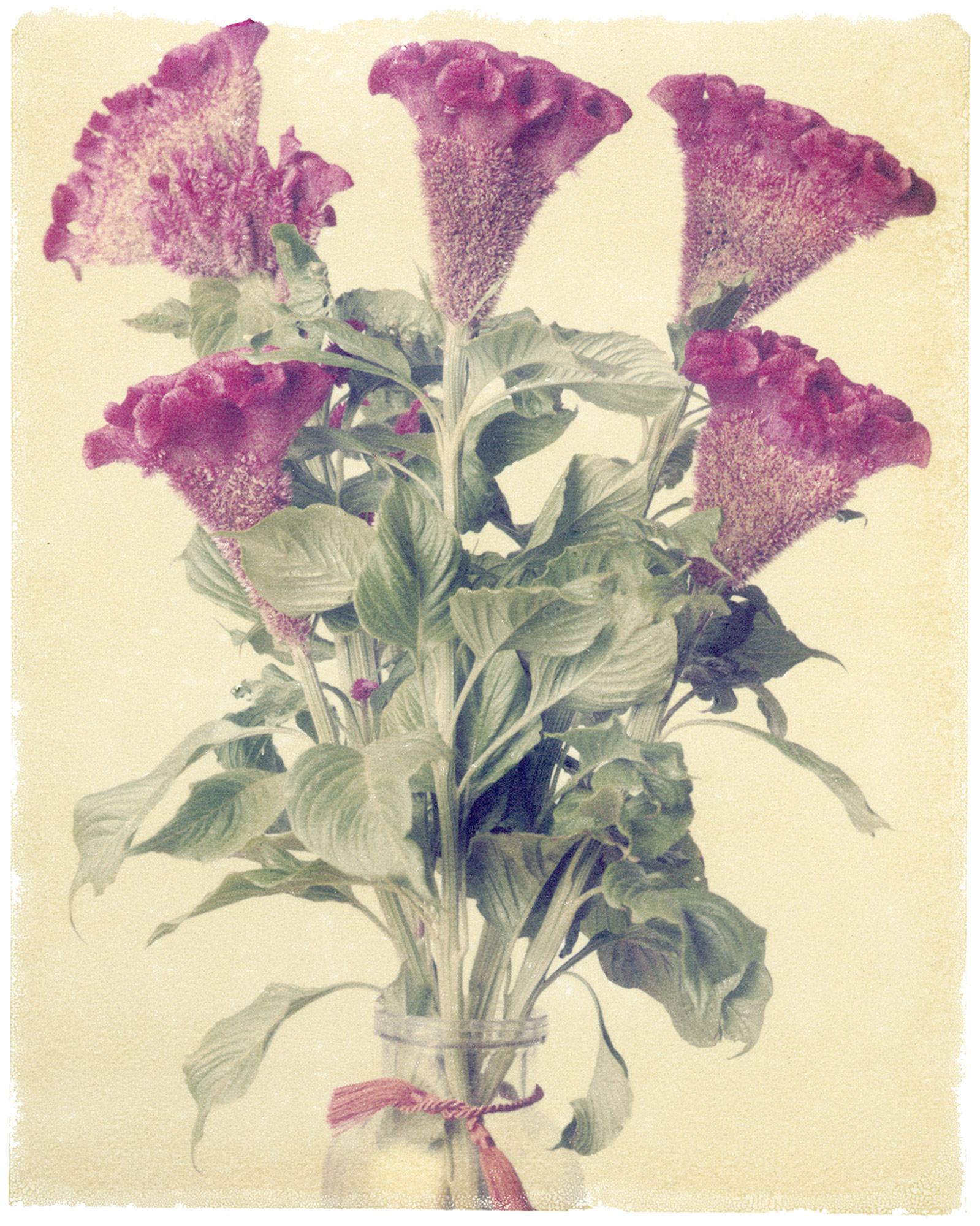 flox4x5-DUP.jpg
